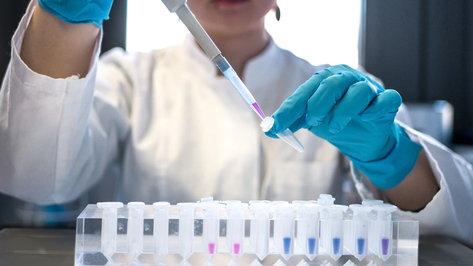 A lab technician testing samples