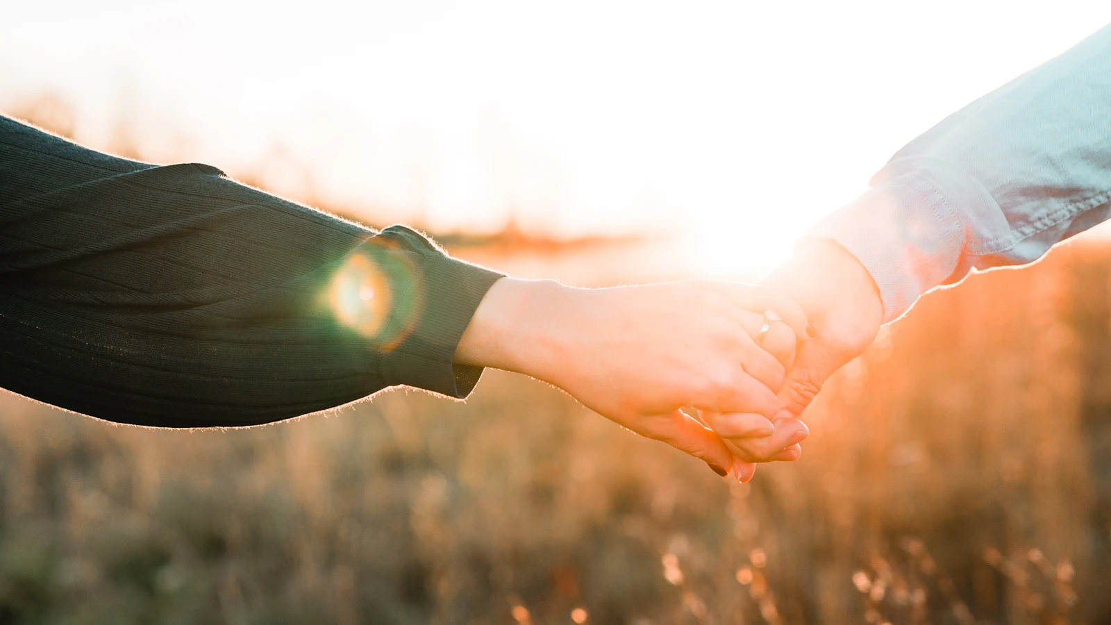 Two people holding hands in a field at sunset